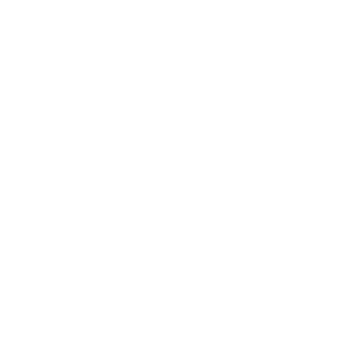 Custom Workforce Solutions